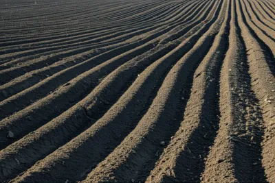 Illustration stitch - Image 1