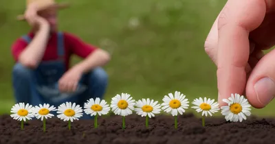 Illustration micromanage