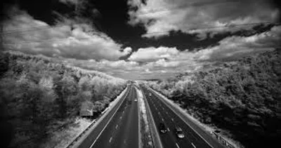 Illustration monochrome - Image 2