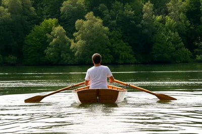 Illustration backs - Image 1