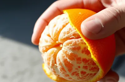 Illustration peel - Image 1