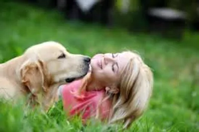 Illustration endear - Image 2