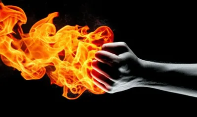 Illustration quell - Image 1