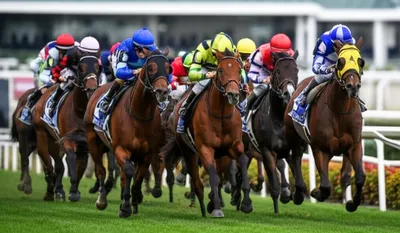 Illustration stables - Image 1