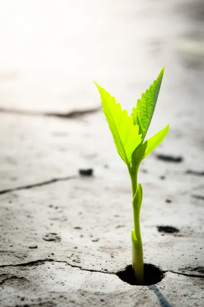 Illustration arisen - Image 1