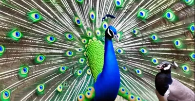 Illustration cracks - Image 1