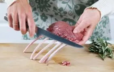 Illustration bone - Image 3