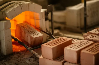 Illustration born - Image 1