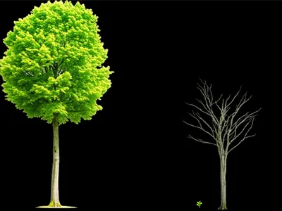 Illustration downsized