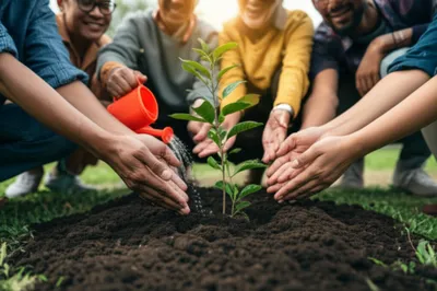 Illustration seed - Image 1