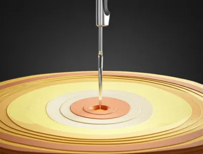 Illustration pierce - Image 1