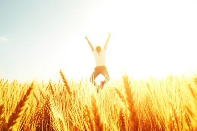 Illustration ja - Image 2