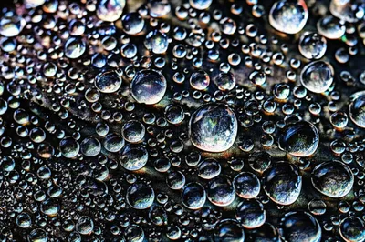 Illustration pearling - Image 1