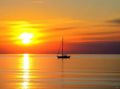 Illustration easterly - Image 1