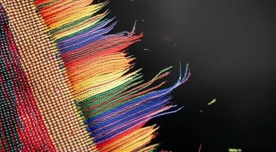 Illustration ratted - Image 1