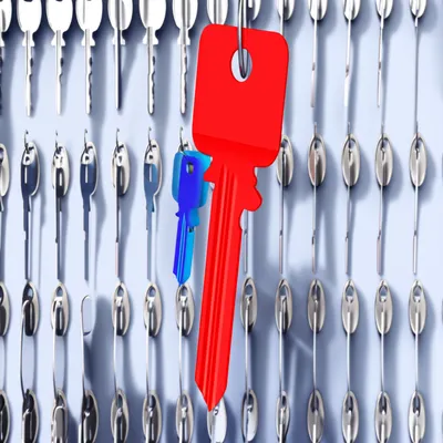 Illustration surrogate - Image 1