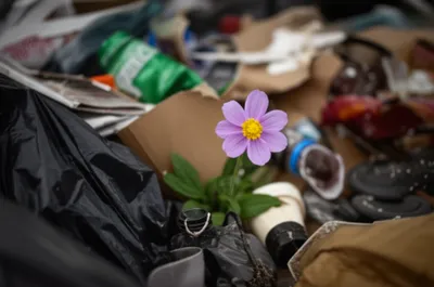 Illustration euphemisms - Image 1