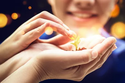 Illustration rendered - Image 1