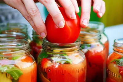 Illustration canning - Image 1