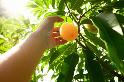 Illustration uptake - Image 1