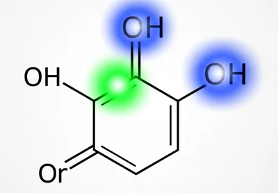 Illustration beta - Image 1