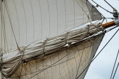 Illustration skin - Image 1