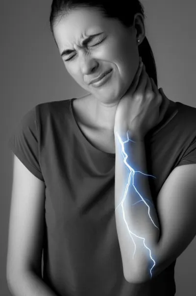 Illustration stingers - Image 1