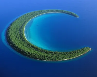 Illustration horn - Image 1