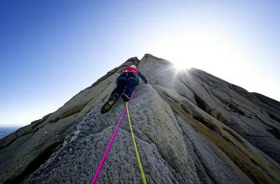 Illustration reasons - Image 1