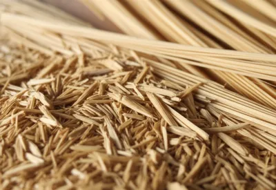 Illustration shive - Image 1