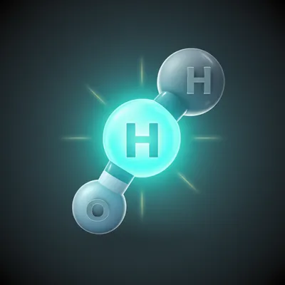 Illustration labeled - Image 1