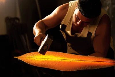 Illustration foliate - Image 1