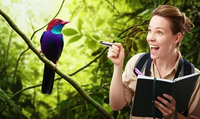 Illustration lifers - Image 1