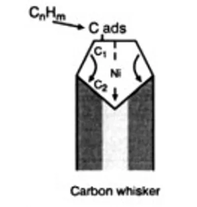 Illustration whisker - Image 2