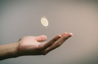 Illustration flippers - Image 1