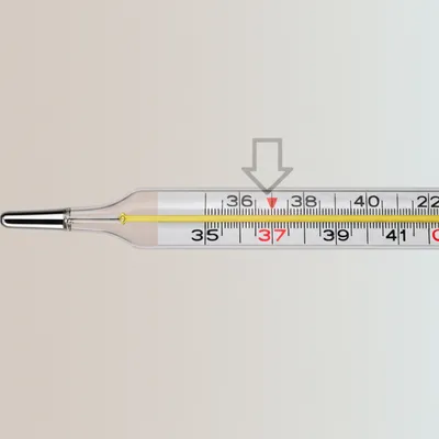 Illustration rounded - Image 1
