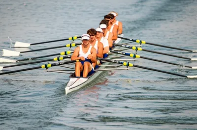 Illustration sweeps - Image 1