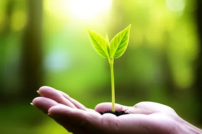 Illustration forces - Image 1