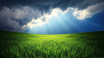 Illustration slash - Image 1