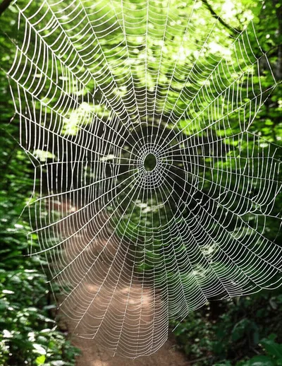 Illustration obstruction - Image 1