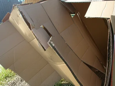 Illustration pasteboard - Image 1