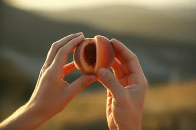 Hình ảnh minh họa velvet - Ảnh 1