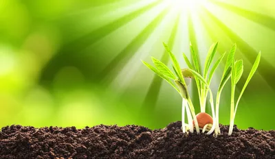 Illustration activates - Image 2