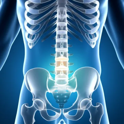 Illustration lumbar - Image 1