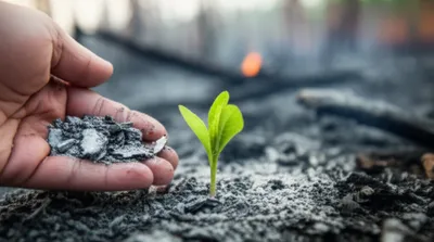 Illustration cinder - Image 1