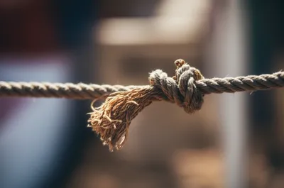 Illustration loosed - Image 1