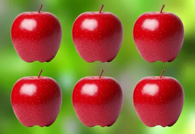 Illustration quintuplet - Image 1