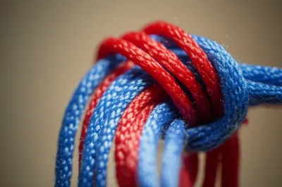 Illustration retorted - Image 1