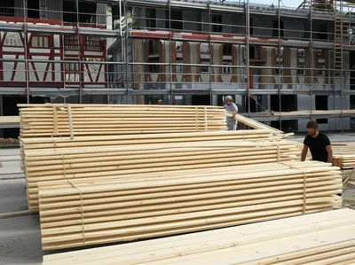 Illustration timbers - Image 1