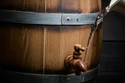 Illustration bulls - Image 1